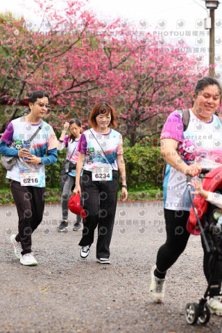 2026左岸竹東櫻花馬拉松Zhudong Sakura Marathon