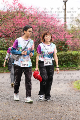 2026左岸竹東櫻花馬拉松Zhudong Sakura Marathon