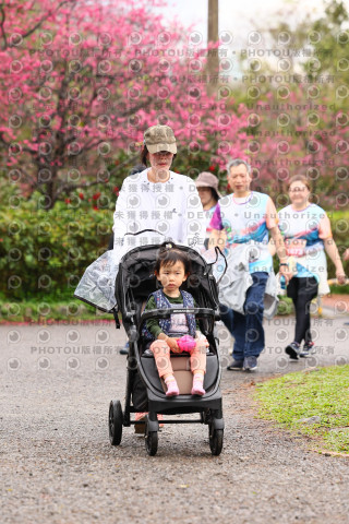 2026左岸竹東櫻花馬拉松Zhudong Sakura Marathon