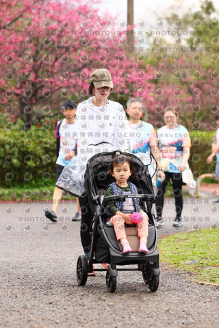 2026左岸竹東櫻花馬拉松Zhudong Sakura Marathon