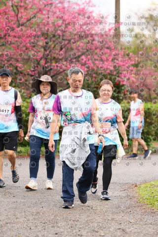 2026左岸竹東櫻花馬拉松Zhudong Sakura Marathon