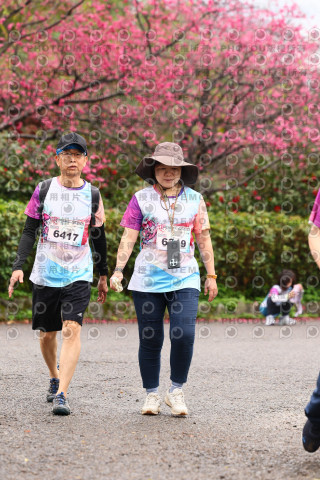 2026左岸竹東櫻花馬拉松Zhudong Sakura Marathon