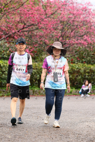 2026左岸竹東櫻花馬拉松Zhudong Sakura Marathon