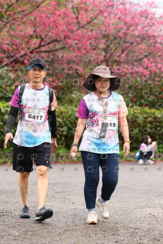 2026左岸竹東櫻花馬拉松Zhudong Sakura Marathon