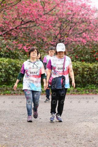 2026左岸竹東櫻花馬拉松Zhudong Sakura Marathon