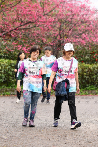 2026左岸竹東櫻花馬拉松Zhudong Sakura Marathon