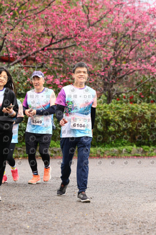 2026左岸竹東櫻花馬拉松Zhudong Sakura Marathon