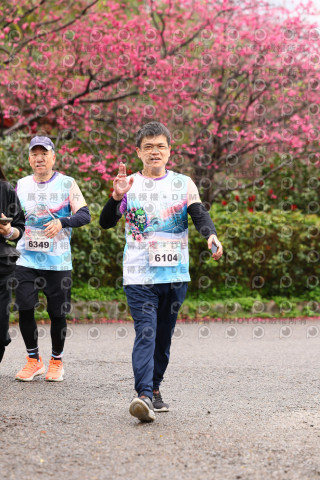 2026左岸竹東櫻花馬拉松Zhudong Sakura Marathon