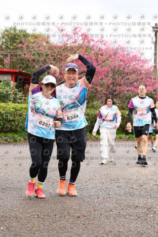 2026左岸竹東櫻花馬拉松Zhudong Sakura Marathon