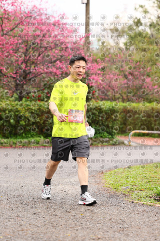 2026左岸竹東櫻花馬拉松Zhudong Sakura Marathon