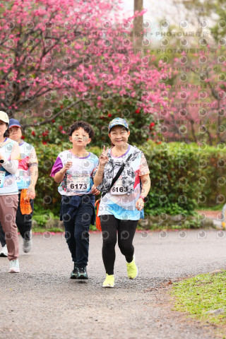 2026左岸竹東櫻花馬拉松Zhudong Sakura Marathon