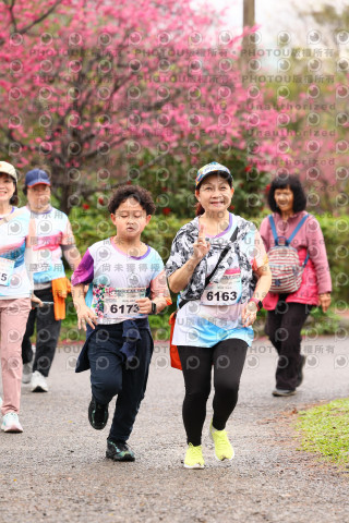 2026左岸竹東櫻花馬拉松Zhudong Sakura Marathon
