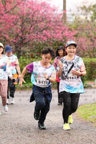 2026左岸竹東櫻花馬拉松Zhudong Sakura Marathon