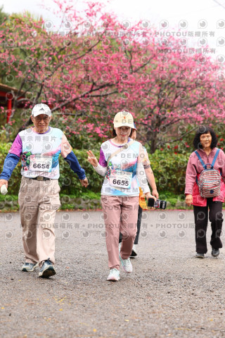 2026左岸竹東櫻花馬拉松Zhudong Sakura Marathon