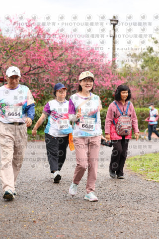 2026左岸竹東櫻花馬拉松Zhudong Sakura Marathon