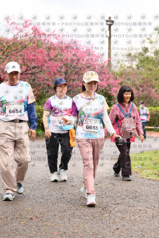 2026左岸竹東櫻花馬拉松Zhudong Sakura Marathon