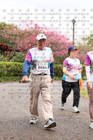2026左岸竹東櫻花馬拉松Zhudong Sakura Marathon
