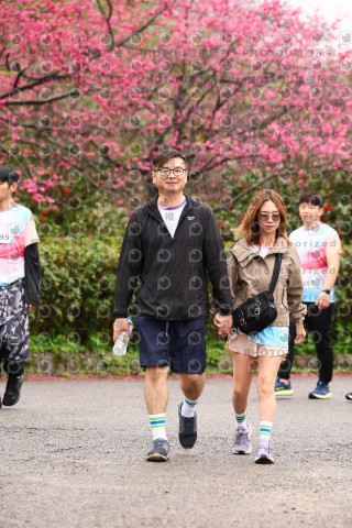2026左岸竹東櫻花馬拉松Zhudong Sakura Marathon
