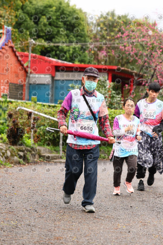 2026左岸竹東櫻花馬拉松Zhudong Sakura Marathon