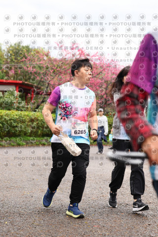 2026左岸竹東櫻花馬拉松Zhudong Sakura Marathon