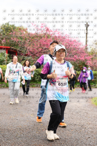2026左岸竹東櫻花馬拉松Zhudong Sakura Marathon