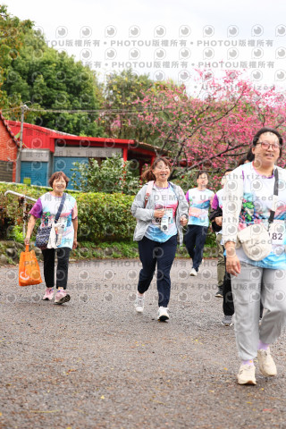 2026左岸竹東櫻花馬拉松Zhudong Sakura Marathon