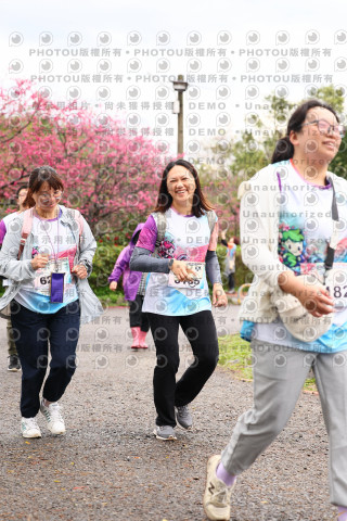 2026左岸竹東櫻花馬拉松Zhudong Sakura Marathon