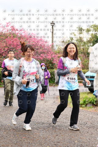 2026左岸竹東櫻花馬拉松Zhudong Sakura Marathon