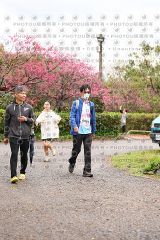 2026左岸竹東櫻花馬拉松Zhudong Sakura Marathon