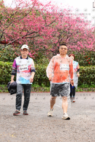 2026左岸竹東櫻花馬拉松Zhudong Sakura Marathon