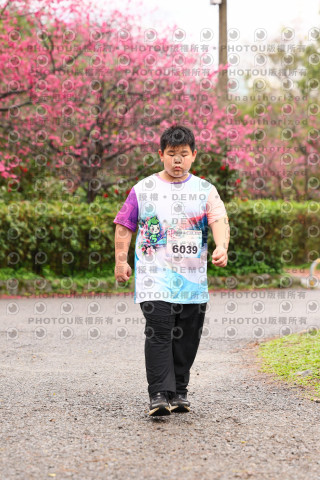2026左岸竹東櫻花馬拉松Zhudong Sakura Marathon