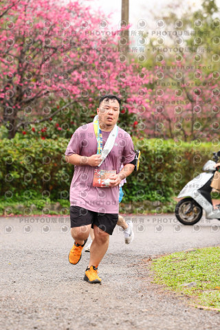 2026左岸竹東櫻花馬拉松Zhudong Sakura Marathon