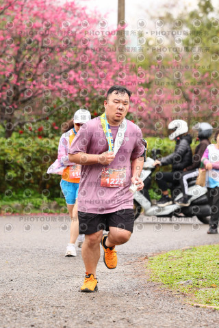 2026左岸竹東櫻花馬拉松Zhudong Sakura Marathon