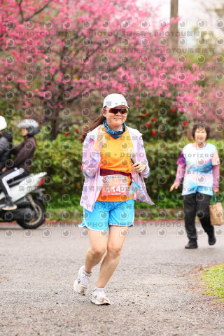 2026左岸竹東櫻花馬拉松Zhudong Sakura Marathon