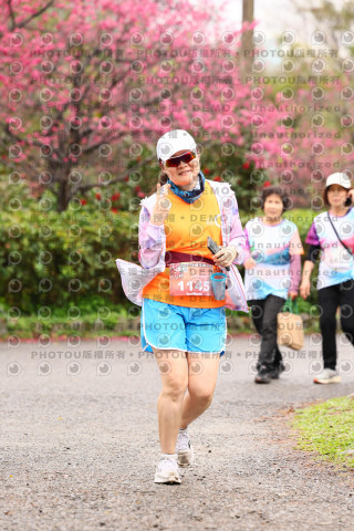 2026左岸竹東櫻花馬拉松Zhudong Sakura Marathon