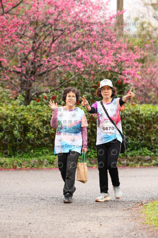 2026左岸竹東櫻花馬拉松Zhudong Sakura Marathon