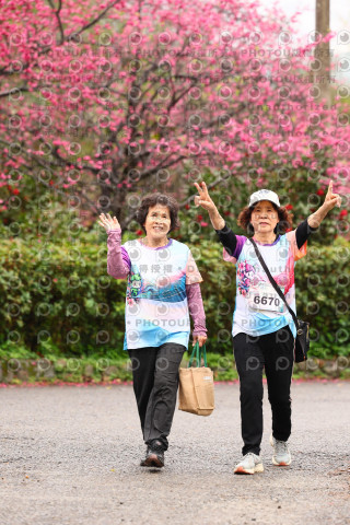 2026左岸竹東櫻花馬拉松Zhudong Sakura Marathon