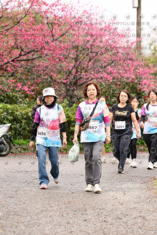 2026左岸竹東櫻花馬拉松Zhudong Sakura Marathon