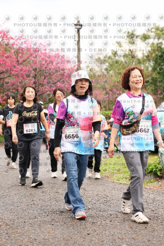 2026左岸竹東櫻花馬拉松Zhudong Sakura Marathon