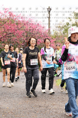 2026左岸竹東櫻花馬拉松Zhudong Sakura Marathon