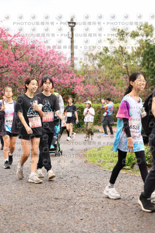 2026左岸竹東櫻花馬拉松Zhudong Sakura Marathon