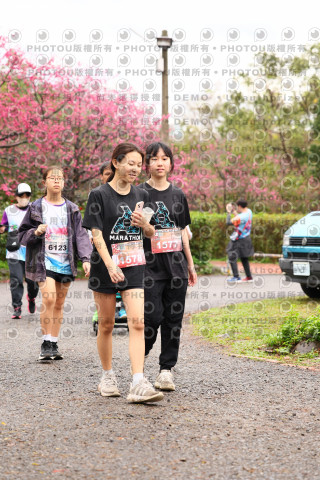 2026左岸竹東櫻花馬拉松Zhudong Sakura Marathon
