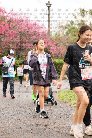 2026左岸竹東櫻花馬拉松Zhudong Sakura Marathon