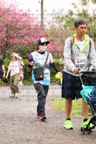 2026左岸竹東櫻花馬拉松Zhudong Sakura Marathon