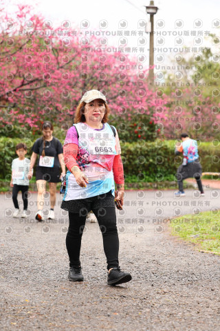 2026左岸竹東櫻花馬拉松Zhudong Sakura Marathon