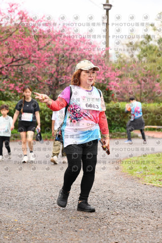 2026左岸竹東櫻花馬拉松Zhudong Sakura Marathon
