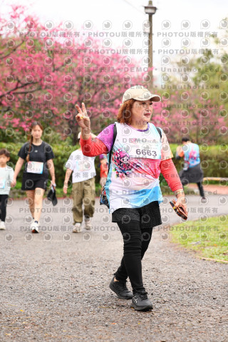 2026左岸竹東櫻花馬拉松Zhudong Sakura Marathon