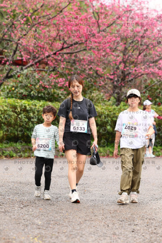 2026左岸竹東櫻花馬拉松Zhudong Sakura Marathon