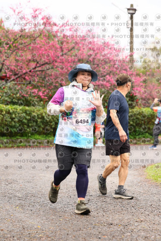 2026左岸竹東櫻花馬拉松Zhudong Sakura Marathon