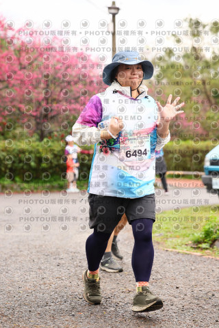 2026左岸竹東櫻花馬拉松Zhudong Sakura Marathon